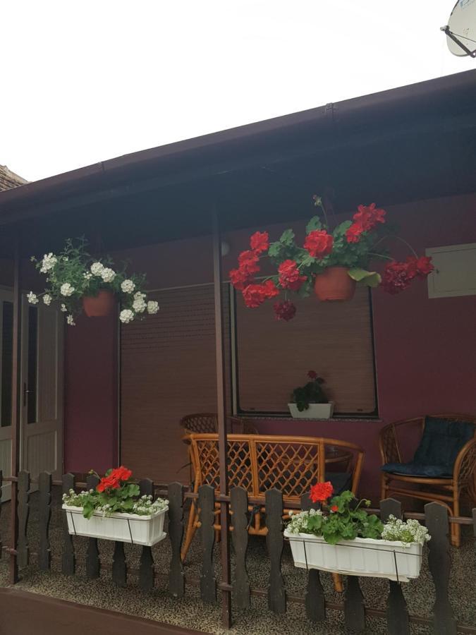 Apartmani, Sobe Ziza Bezdan 外观 照片