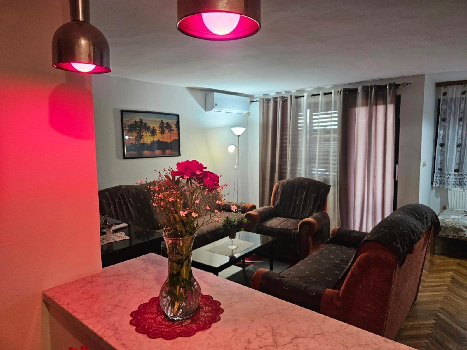 Apartmani, Sobe Ziza Bezdan 外观 照片