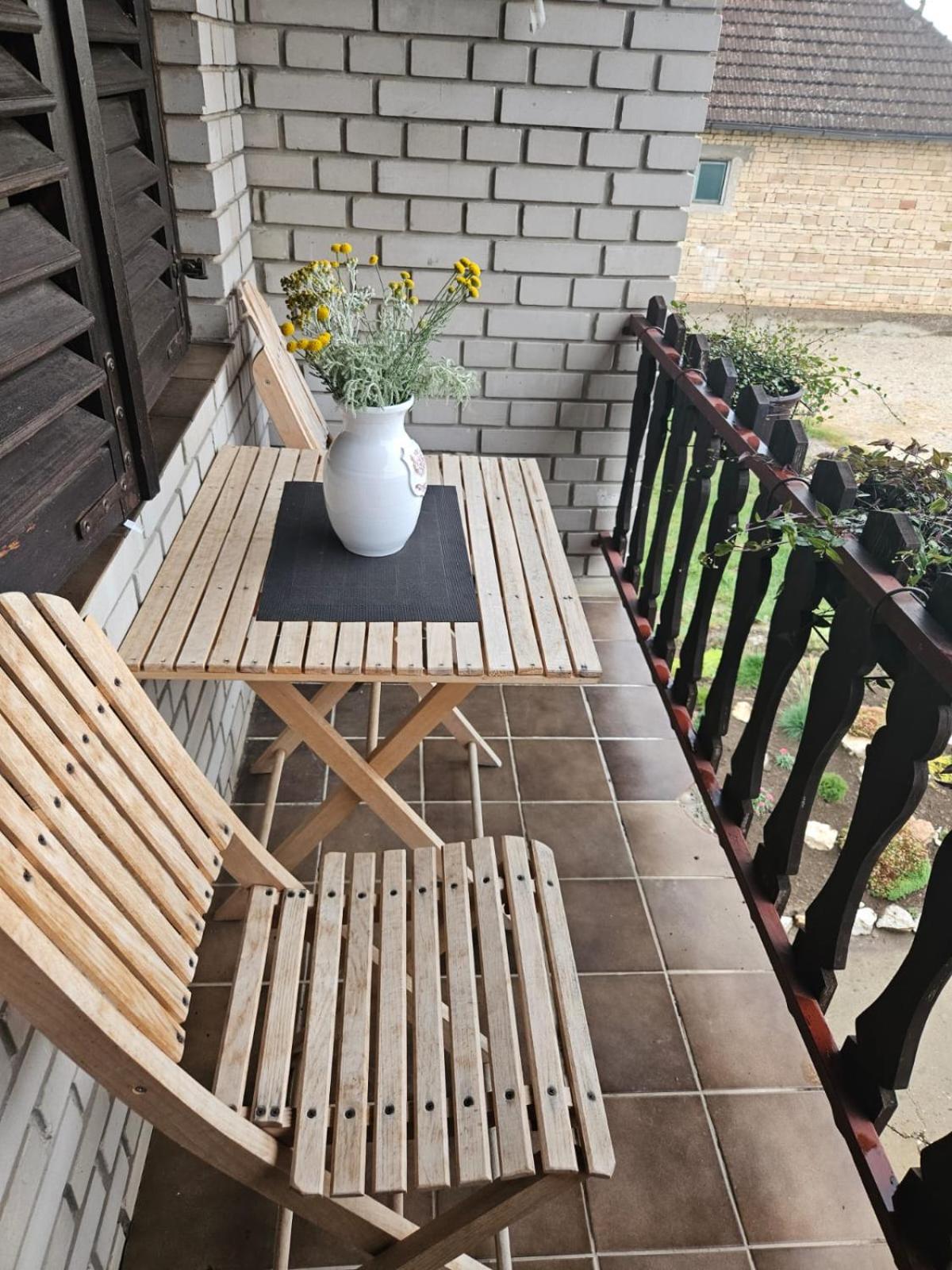 Apartmani, Sobe Ziza Bezdan 外观 照片