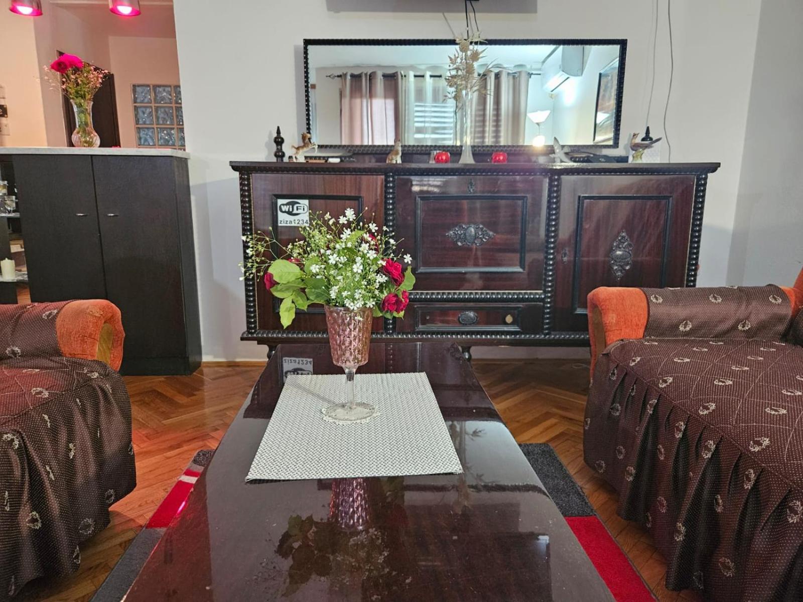 Apartmani, Sobe Ziza Bezdan 外观 照片
